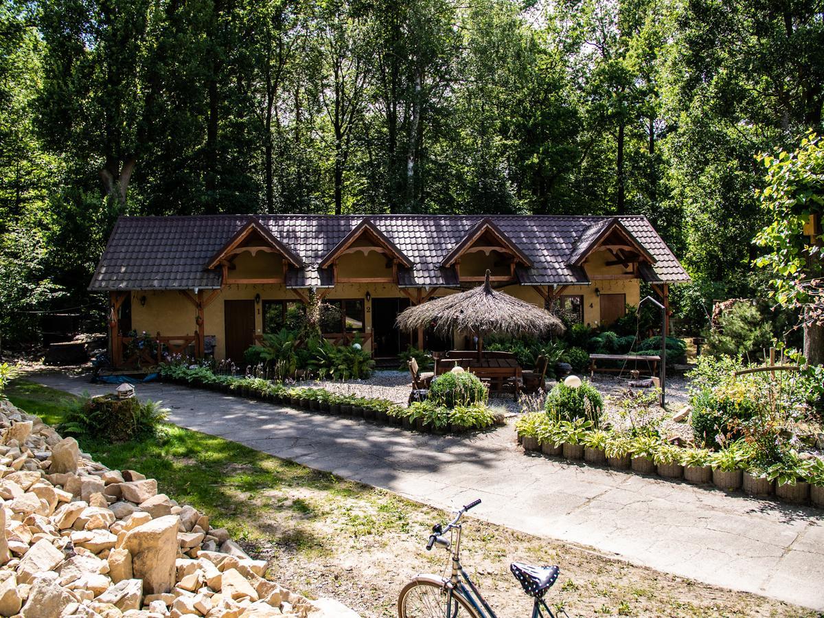 Agromurena Gryfów Śląski エクステリア 写真